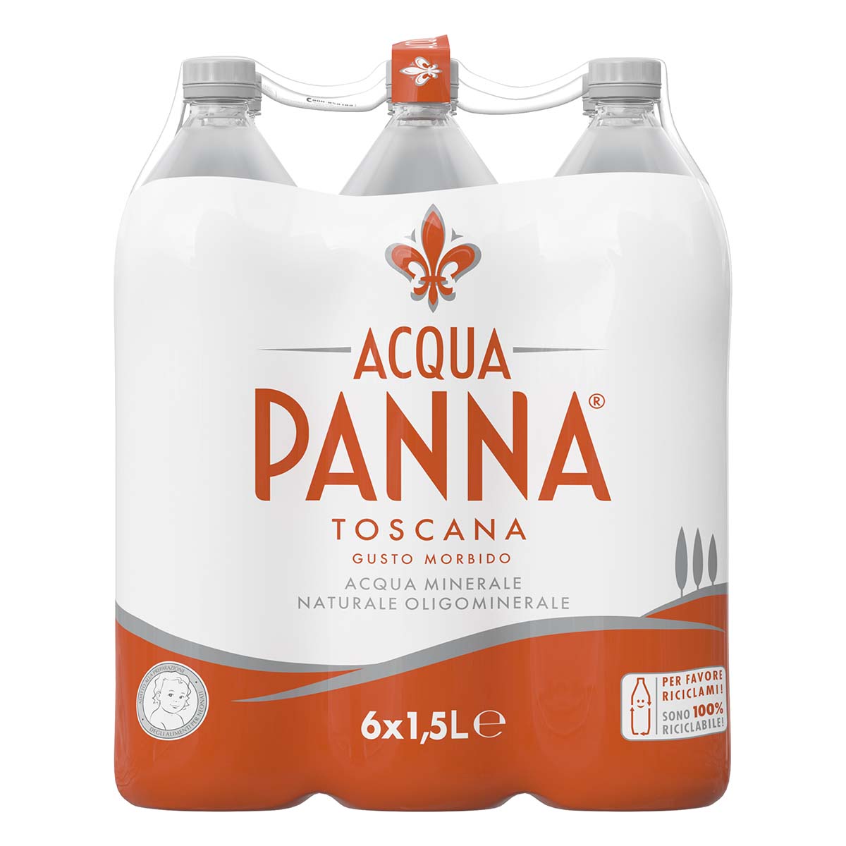 Acqua Panna - Fardello 6 bottiglie in PET da 1.5l