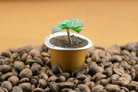 Come riutilizzare fondi di caffè