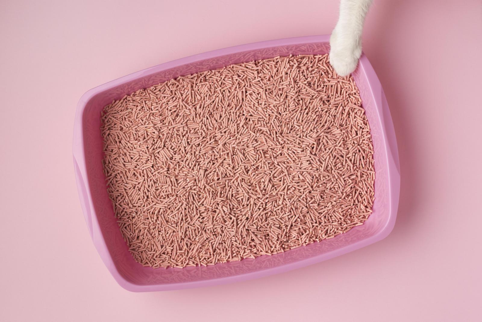 Lettera biodegradabile per gatto Lettiera per gatto in un recipiente rosa