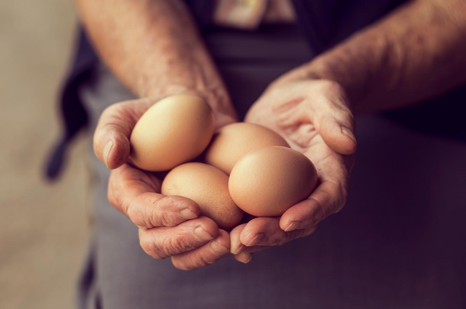 Dove buttare i gusci delle uova Dove buttare i gusci delle uova