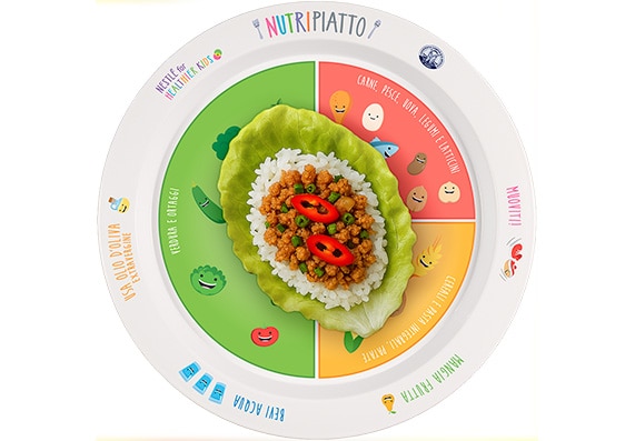 Involtini di riso