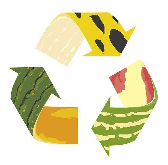 Illustrazione del simbolo del riciclo alimentare Title immagine: Ridurre gli sprechi alimentari è importante!