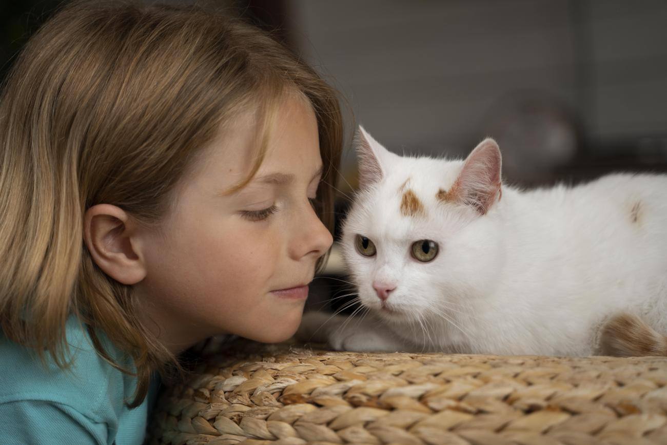 Una bimba guarda un gatto bianco