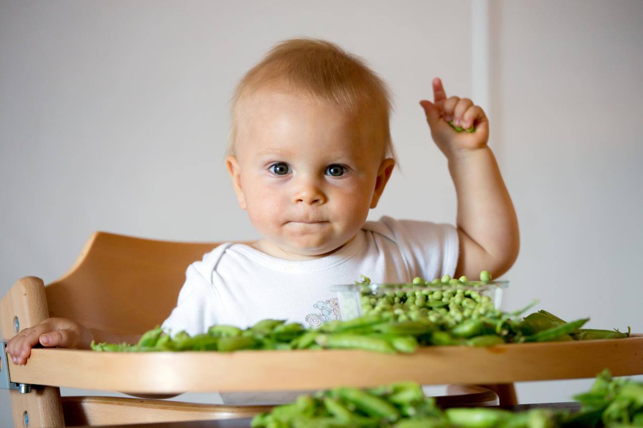 Quali sono gli alimenti che contengono ferro?