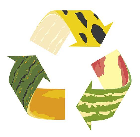 Illustrazione del simbolo del riciclo alimentare  Title immagine: Ridurre gli sprechi alimentari è importante!