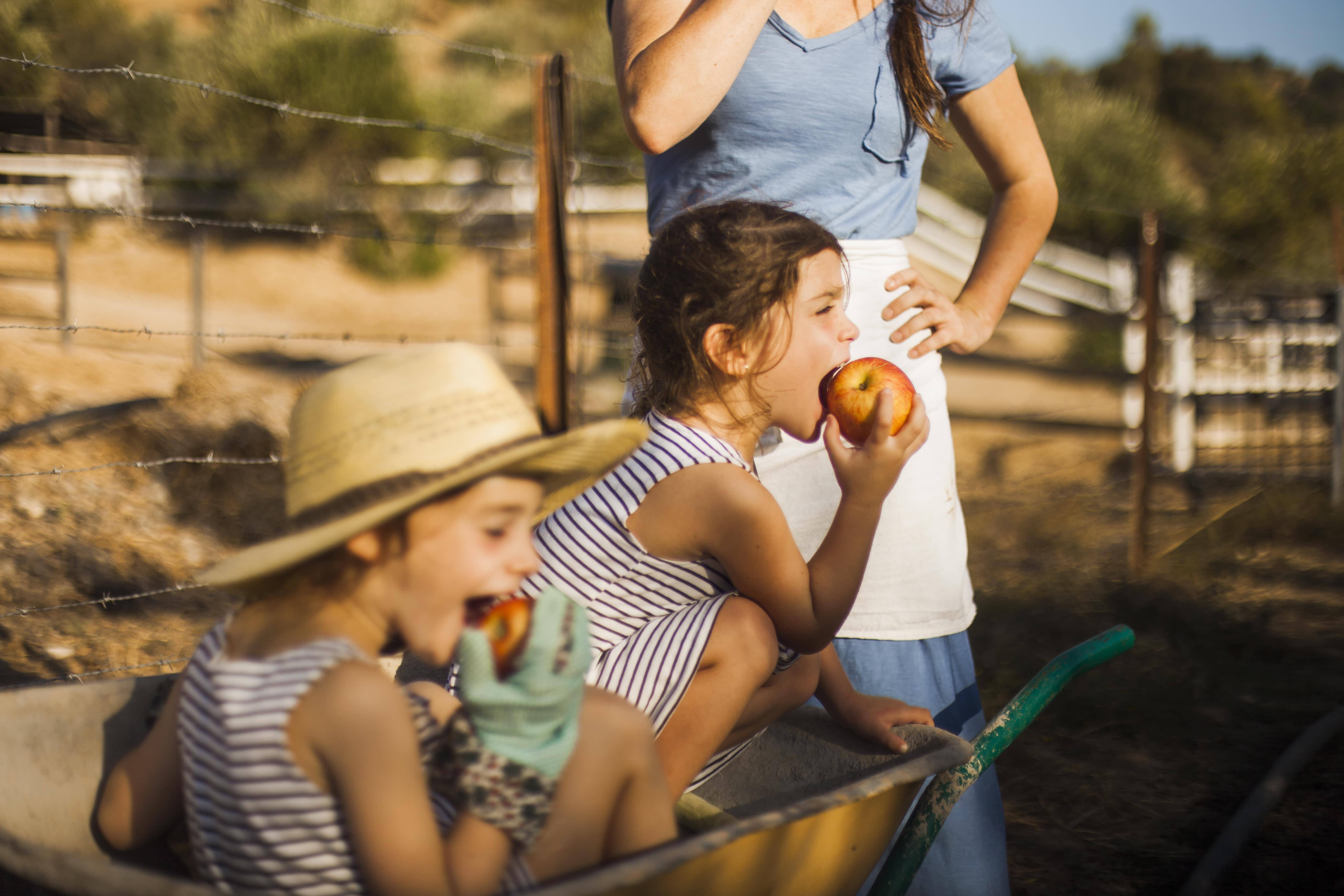 Bambini mangiano una mela dentro una carriola in campagna accanto alla mamma 