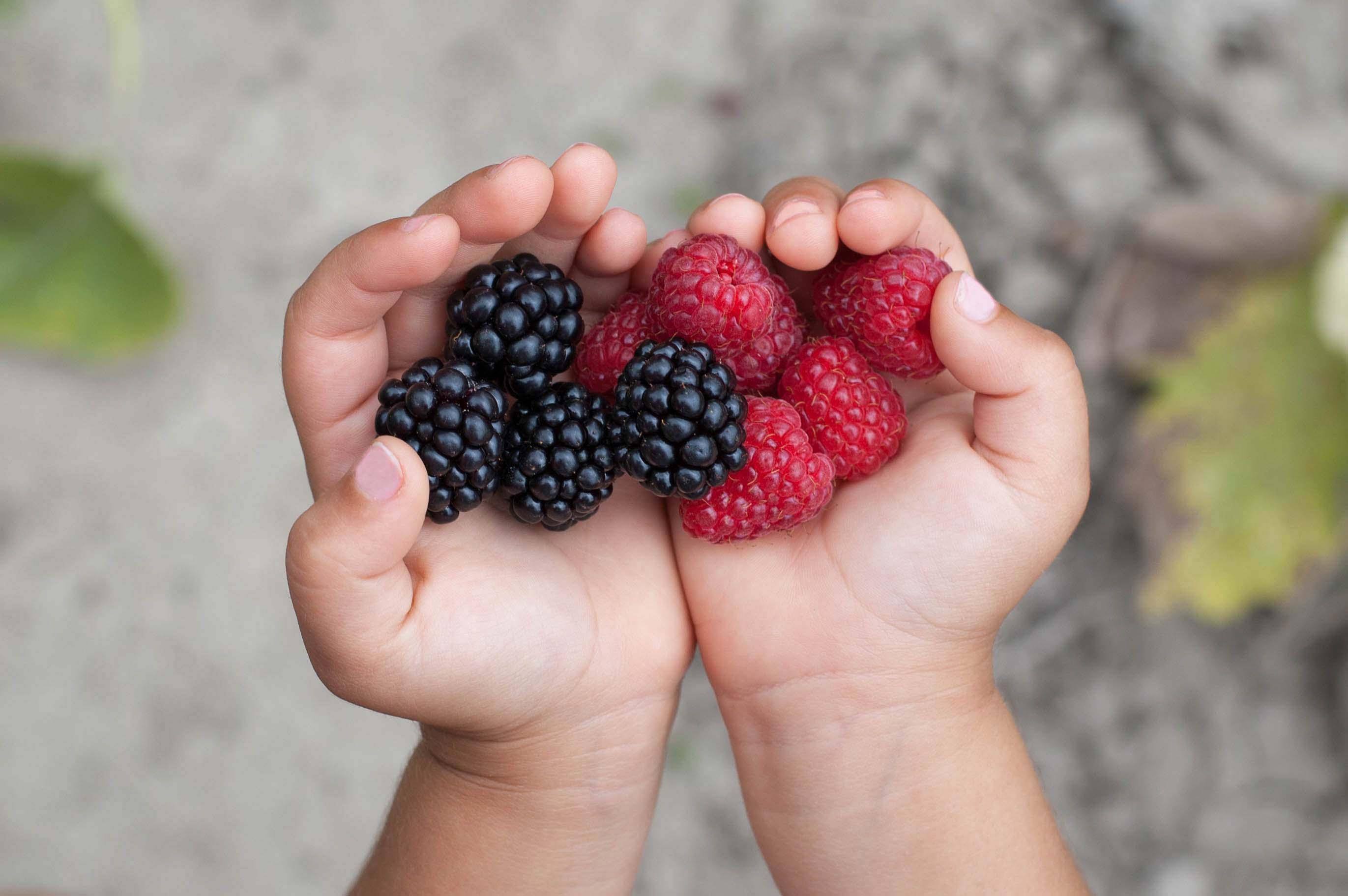 mani con frutti