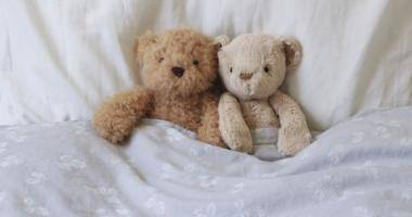 Due orsetti nel letto
