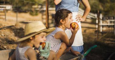Bambini mangiano una mela dentro una carriola in campagna accanto alla mamma 