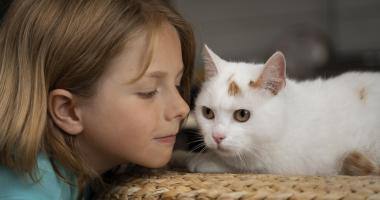 Una bimba guarda un gatto bianco