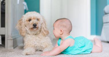 Un neonato e un cagnolino che giocano sul tappeto