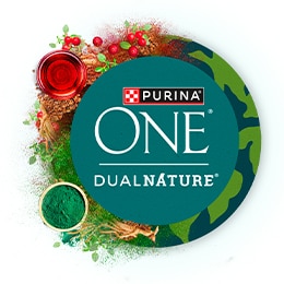 Purina One