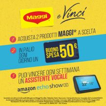 Volantino del concorso Maggi e Vinci