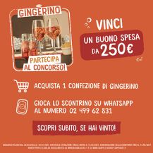 Vinci la spesa con Gingerino 2026!