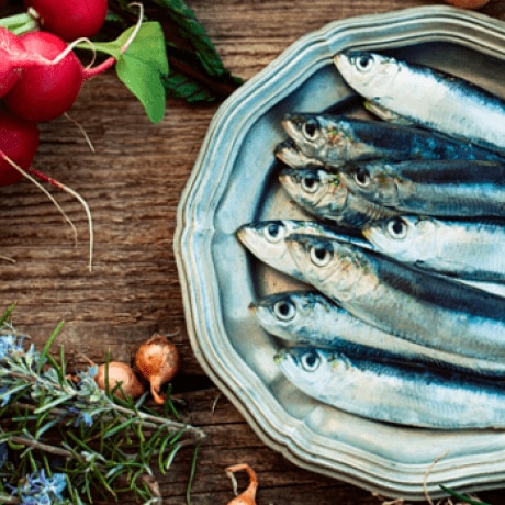 Il pesce azzurro, acciughe