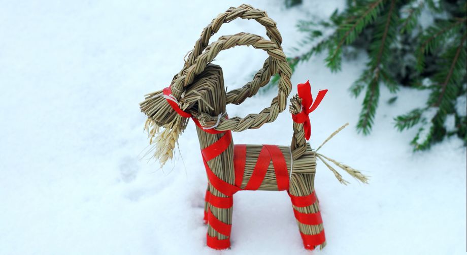 Scopri le tradizioni natalizie in Svezia Yule Goat, decorazione natalizia svedese nella neve accanto a un abete
